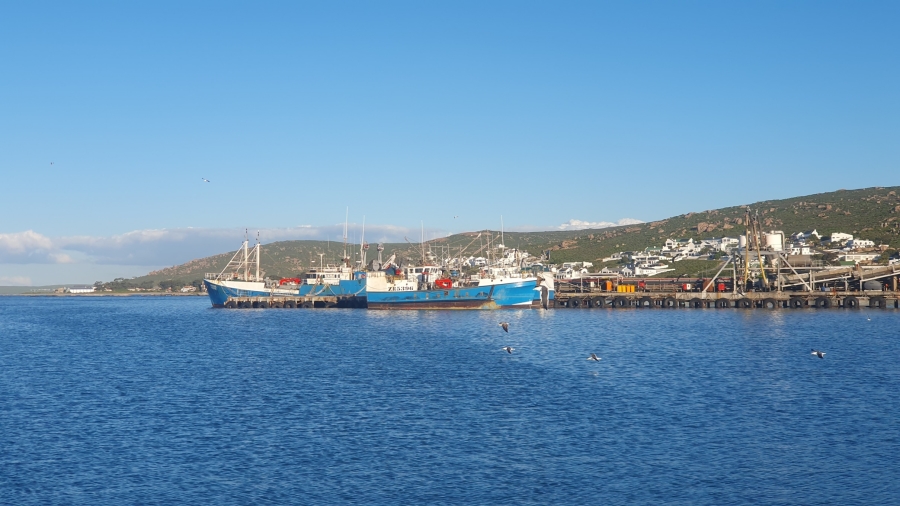 0 Bedroom Property for Sale in Steenbergs Cove Western Cape